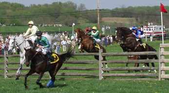 Maryland Hunt Cup